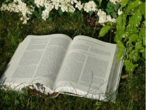 KAB Bibel Evangelium.JPG