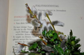palmzweig christine limmer pfarrbriefservice