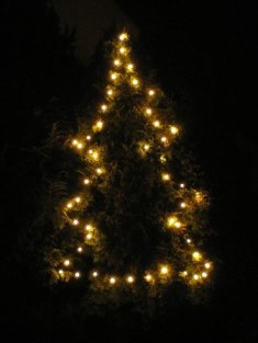 15678 weihnachtsbaum by elmar waigand pfarrbriefservice