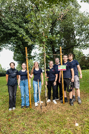 baumchallenge pj wertingen 285