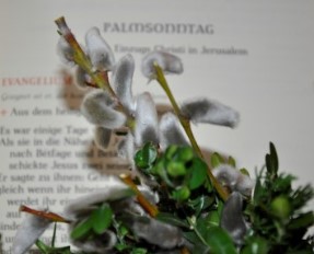 palmsonntag christine limmer