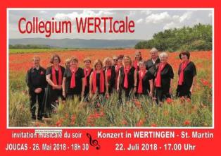 CollegiumWerticale